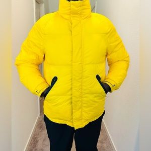 Illuminating Yellow Jacket